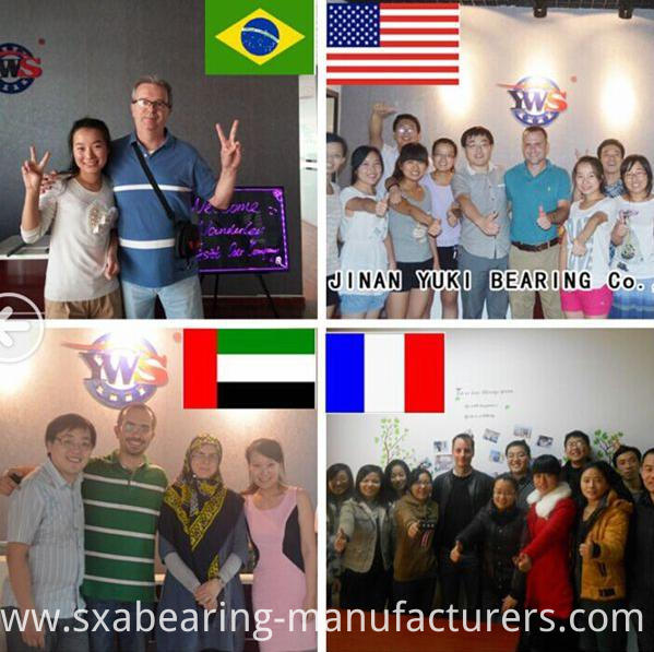 Plastic Deep Groove Ball Bearing